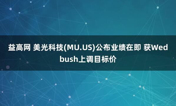 益高网 美光科技(MU.US)公布业绩在即 获Wedbush上调目标价