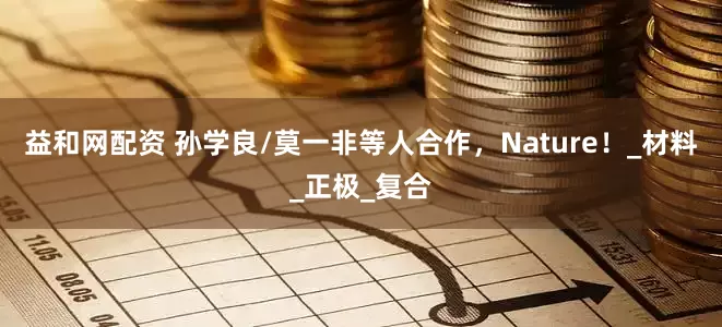 益和网配资 孙学良/莫一非等人合作，Nature！_材料_正极_复合