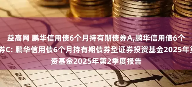 益高网 鹏华信用债6个月持有期债券A,鹏华信用债6个月持有期债券C: 鹏华信用债6个月持有期债券型证券投资基金2025年第2季度报告
